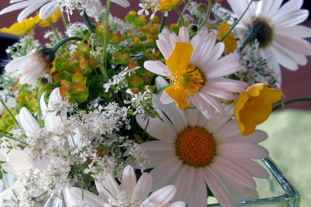 Sommerliche Blumendekoration auf allen Tischen im Gemeindehaus St. Josef © 2023 G. Wolff